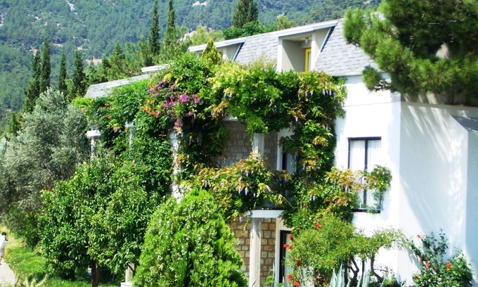 Turunc Apartment | If you can imagine relaxing under the olive trees sipping a Gin & Tonic!