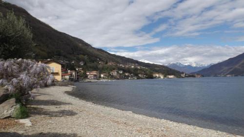 Acquaseria Apartment | Il CORTILETTO