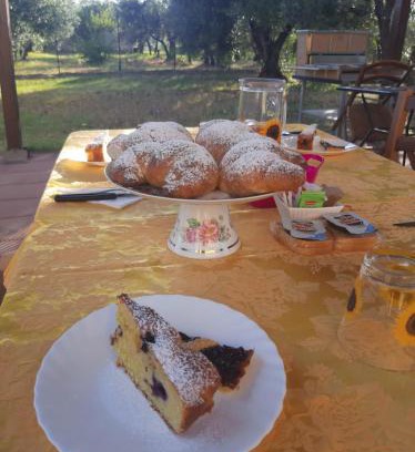 Palombara Sabina House | Il Girasole B&B