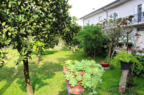 Teano Bed & Breakfast | Il Moro Bianco