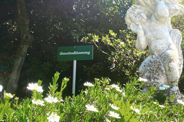 Castello Bed & Breakfast | il Motto di Tommy