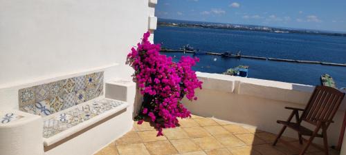 Isola del Borgo Antico Apartment | Il Palazzino