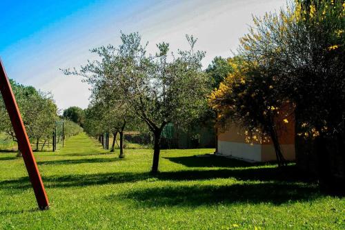 Corinaldo Apartment | Il Poggetto