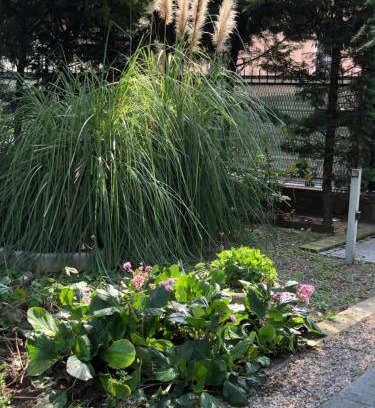 San Leonardo Bed & Breakfast | Il villino della duchessa