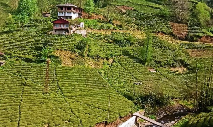 Rize Apartment | ilknur ve muhammet in yeri 2