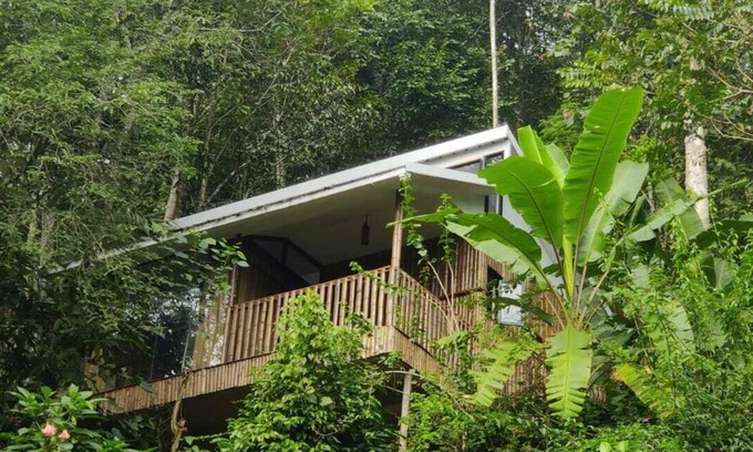 Kunchithanny Cottage | Illi Villa Cozy Bamboo claded Nature friendly cottage in Munnar in Spices farm
