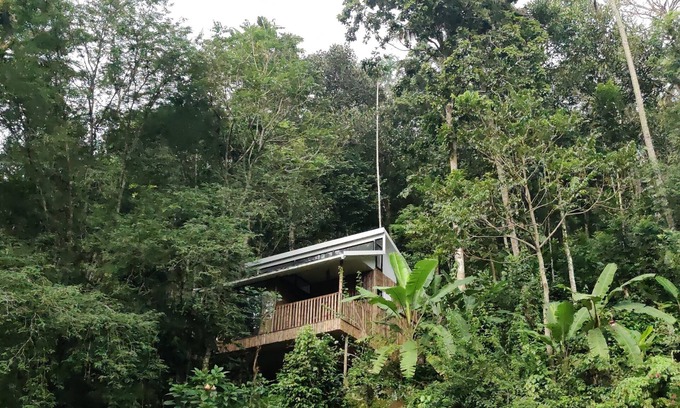 Kunchithanny Other | IlliVilla Bamboo claded single room cottage inside Organic Spices Farm in Munnar