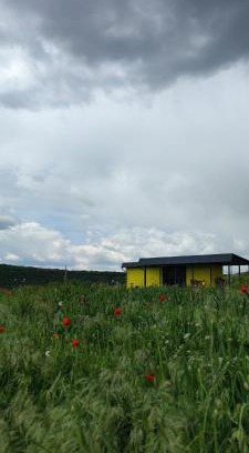 Trebujeni House | ILLU Resort