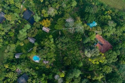 Padinnoruwa Resort | Ilukketiya Tea Chalets