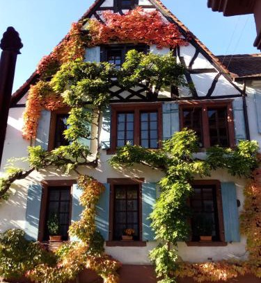 Rhodt unter Rietburg Apartment | Im Alten Kaufhaus