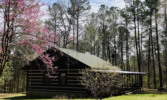 Bath Cabin | Immaculate cabin bordering national forest, close to Augusta, GA - -Masters