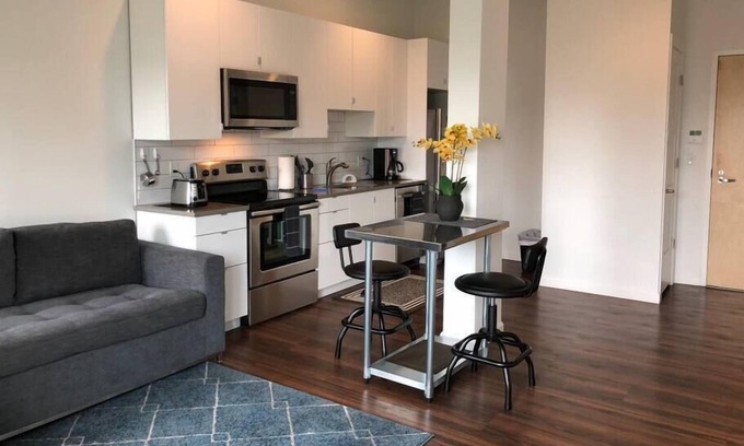 Mission Hill Apartment | Immaculately Clean, Comfy and Convenient Boston Location on Greenline!