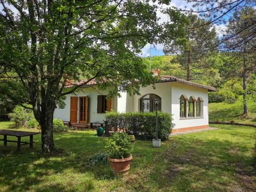 Rufina House | Immersa nel verde e nel silenzio