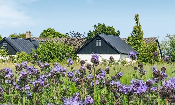 Kopingebro House | In an idyllic location in the Skåne countryside, this charming vacation home welcomes you.