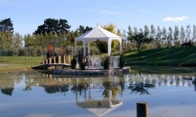 Christchurch House | In Christchurch city on acreage Very Private Garden overlooking our Olive Grove
