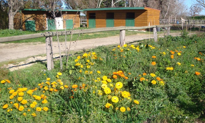 Saint-Gilles Apartment | In the camargue for carp and big catfish fishing gite on the banks of theRhône