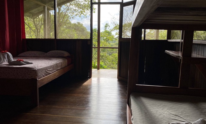 Carate House | in the heart of the forest, Near Corcovado National Park.