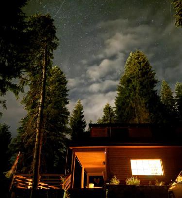 Bagvdanari Villa | In The Forest
