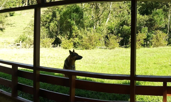 Quebrada Grande House | IN THE HEART OF MONTEVERDE. 300 ACRE PROPERTY
