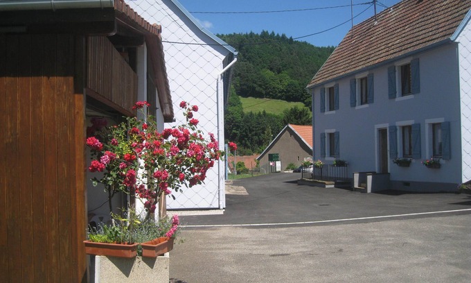 Lapoutroie Apartment | in the village of Lapoutroie 10 km from Kaysersberg
