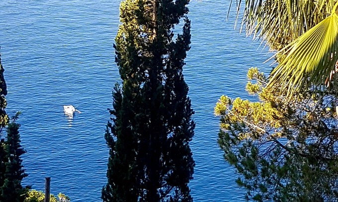 Bocale Villa | Independent villa overlooking the sea with swimming pool