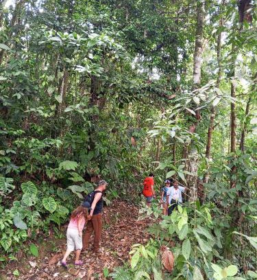 Tena Hotel | Ingaru lodge
