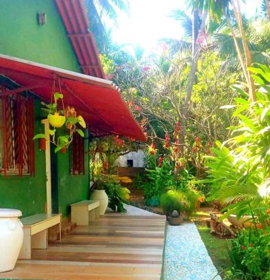 Mumbai House | INTERLUDE - by THE DRUIDS GARDEN