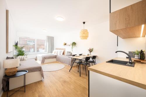 Brno-stred Apartment | Internesto Brno Urban