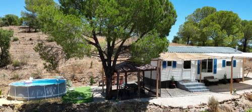 Martim Longo Other | Into the wild