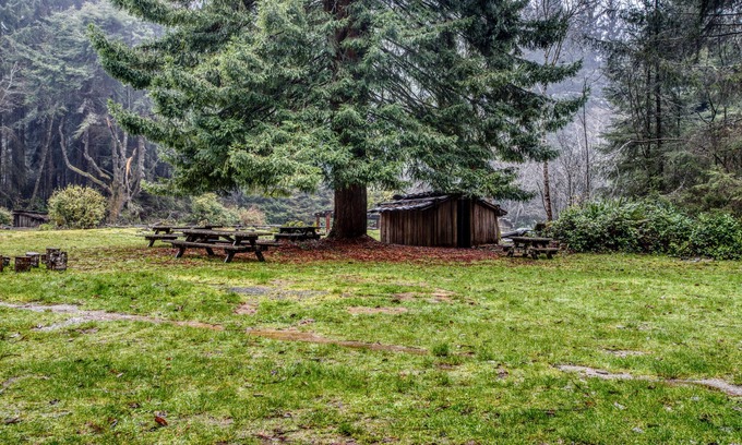 McKinleyville House | Inviting house w/a quiet yard to relax in & BBQ - close to beaches and redwoods