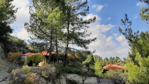 Kakopetria Villa | IRENE cottage