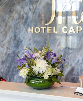 Teaticket Hotel | Iris Hotel Cape Cod