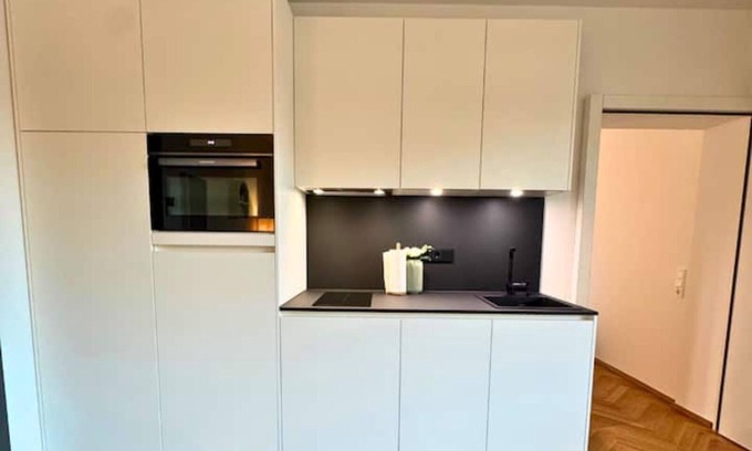 Waldshut-Tiengen Apartment | Isaak Apartment Löwenbau E2-W06