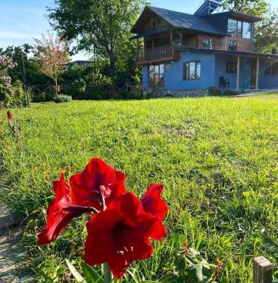 Fatsa Villa | Isabella Kırsal Yaşam Evi