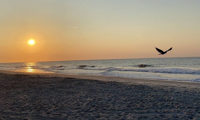 Folly Field Condo | Island Club BEACH GEM Just steps from ocean, amenities galore!