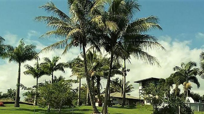 Papaikou House | Island Goode's - Luxury Adult Only Accommodation near Hilo