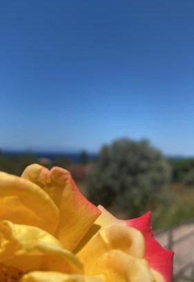 Lesvos Apartment | Isolaire Residences