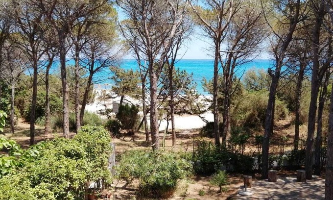 Cala Liberotto Apartment | PINE CONE DIRECT ACCESS TO THE BEACH (NO WIFI) CIN IT091063C2000S5156