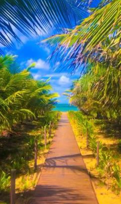 Itacimirim House | Itacimirim village pé na areia