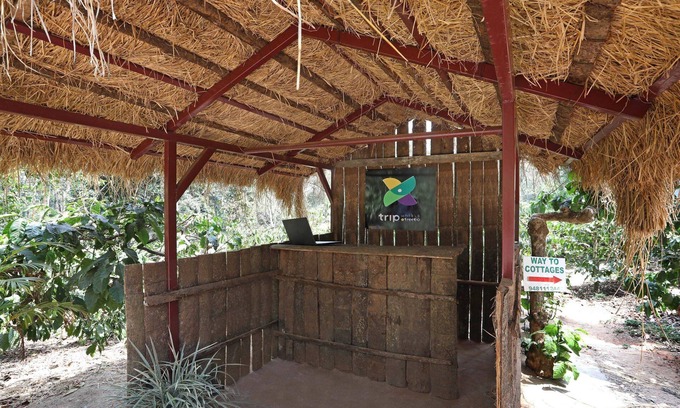 Somvarpet Hotel | Itsy Hotels Jammabane Cottage