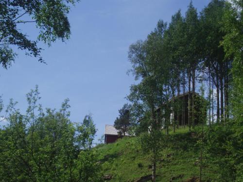 Tolga Municipality Apartment | Ivaregga Vinterstua