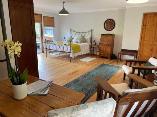 Hout Bay Apartment | Ixia studio-Serene, solar, pet friendly, garden and valley views