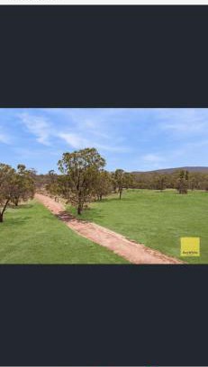 Deepwater House | Jabiru (Stork) Wetland Farmstay
