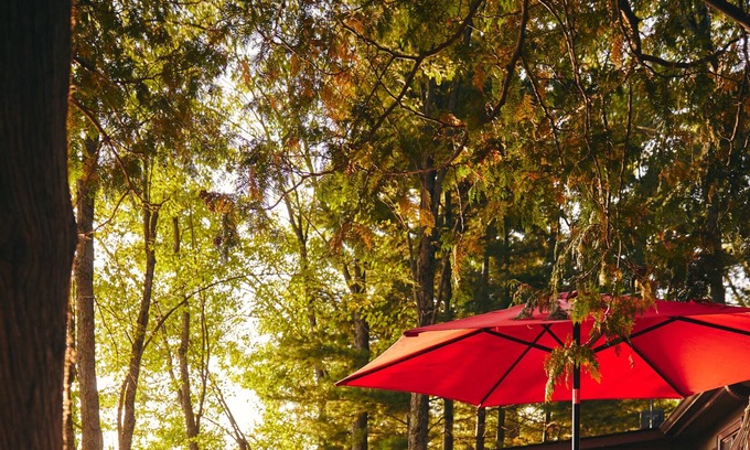 Havelock-Belmont-Methuen Cabin | Jack Lake Kawartha Cabin