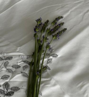 Trawal Apartment | Jacob's Rest