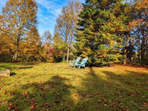 Blairsville House | Jacuzzi, Fireplace, Nature, Views, Peaceful, Patio