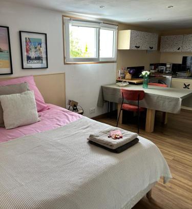 Saint-Jacques-de-la-Lande Apartment | "Jade" Studio sur jardin jacuzzi