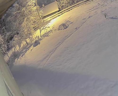 Pale House | Jahorina Shack