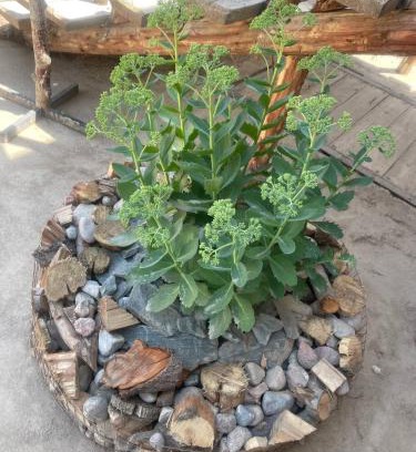 Bokonbayevo House | Japar