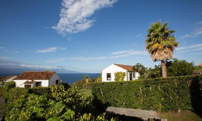 Velas Bed & Breakfast | Jardim do Triângulo - Alojamento local